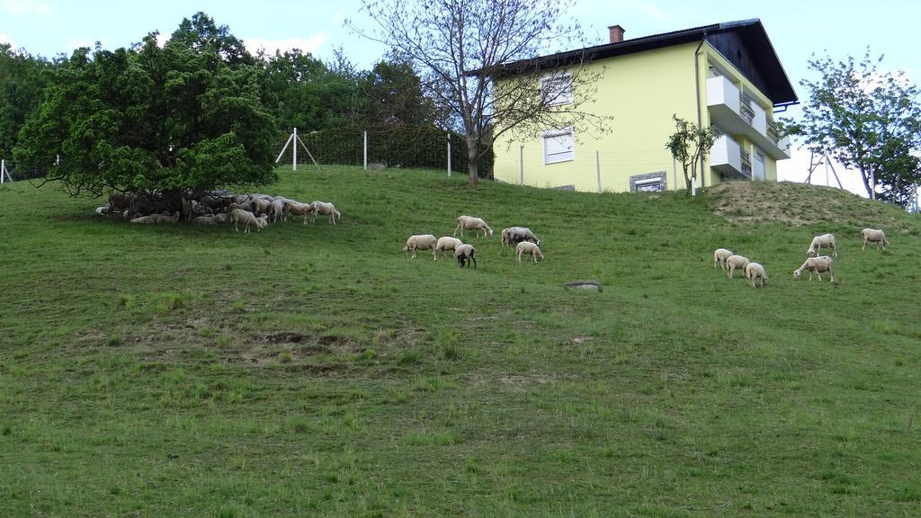 Apartmán Relax Center Olimian Podčetrtek Exteriér fotografie